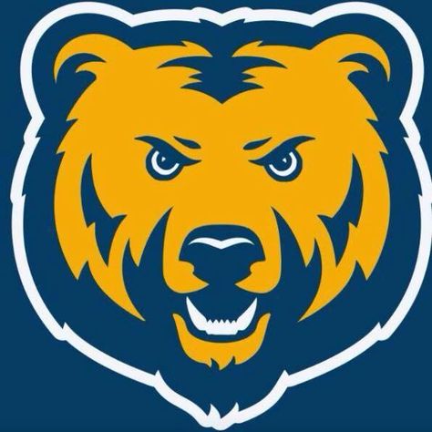 Weird Bear Weird Bear