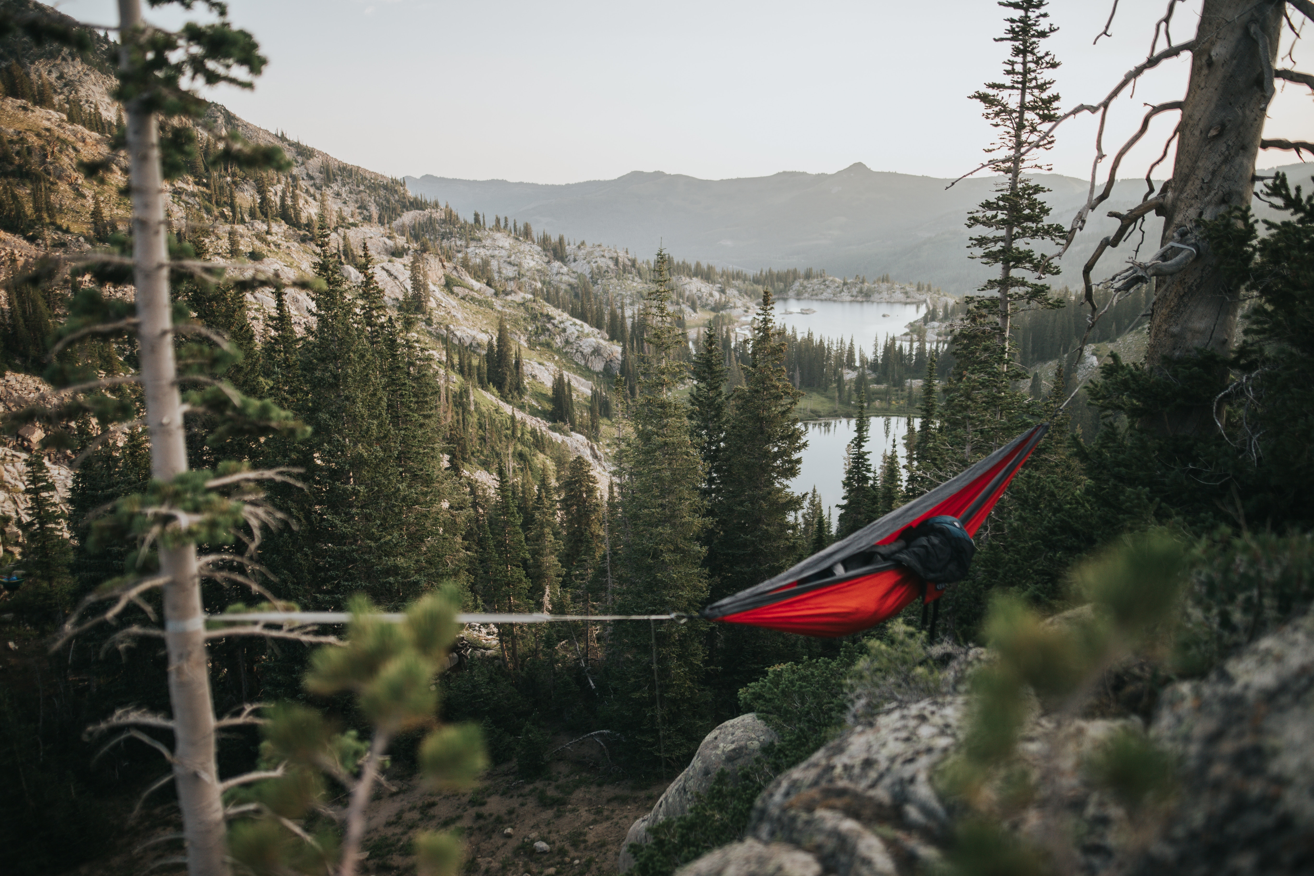 thomas-young-1136773-unsplash thomas-young-1136773-unsplash